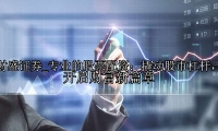 专业的股票配资：撬动股市杠杆，开启财富新篇章
